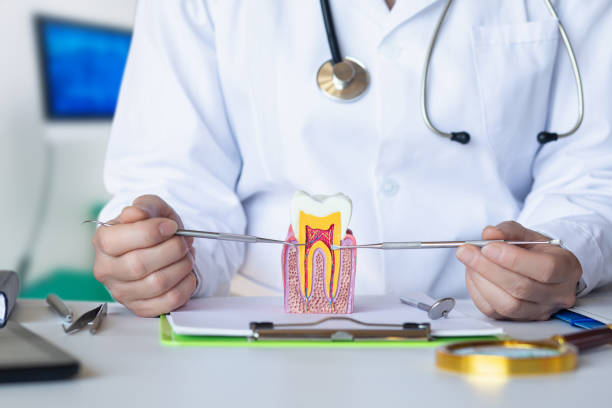 Best Emergency Dental Extractions in Forest Meadows, CA